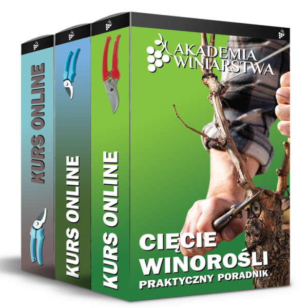 Cięcie winorośli - pakiet kursów