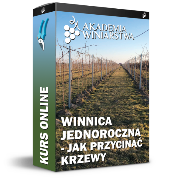 Winnica jednoroczna - jak przycinać krzewy kurs