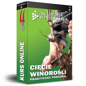 Cięcie winorośli. Praktyczny poradnik kurs